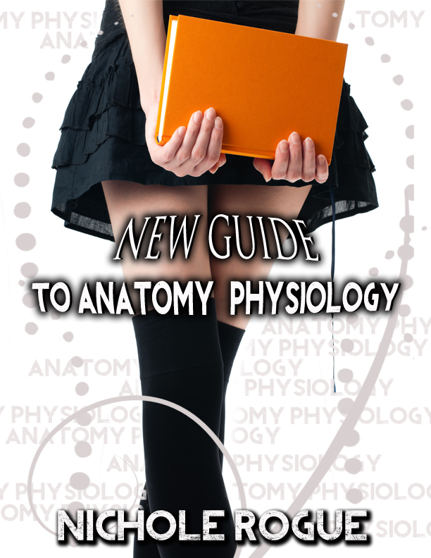 a-new-guide-to-anatomy-physiology-612x792